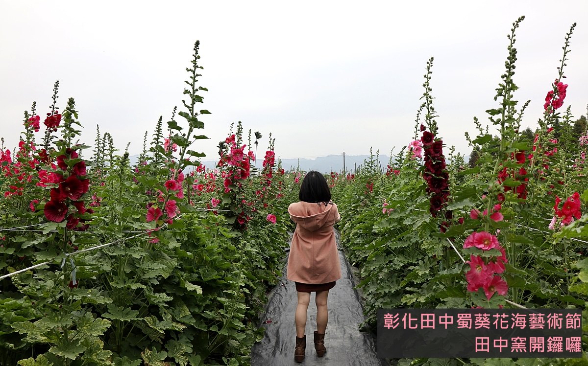 彰化輕旅行｜2019年田中蜀葵花海藝術節 來田中窯賞花玩陶土 親子旅遊推薦