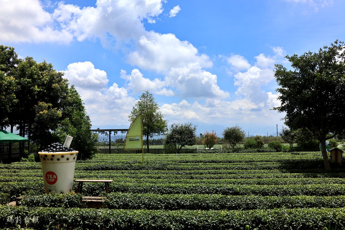 南投名間景點,茶二指故事館,茶葉博物館,巨無霸珍奶水管屋,好玩好拍,享受慢活的南投小旅行,親子景點