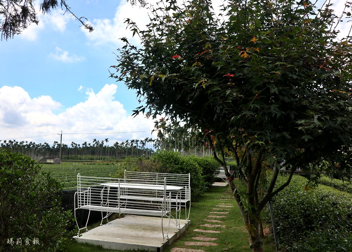 南投名間景點,茶二指故事館,茶葉博物館,巨無霸珍奶水管屋,好玩好拍,享受慢活的南投小旅行,親子景點