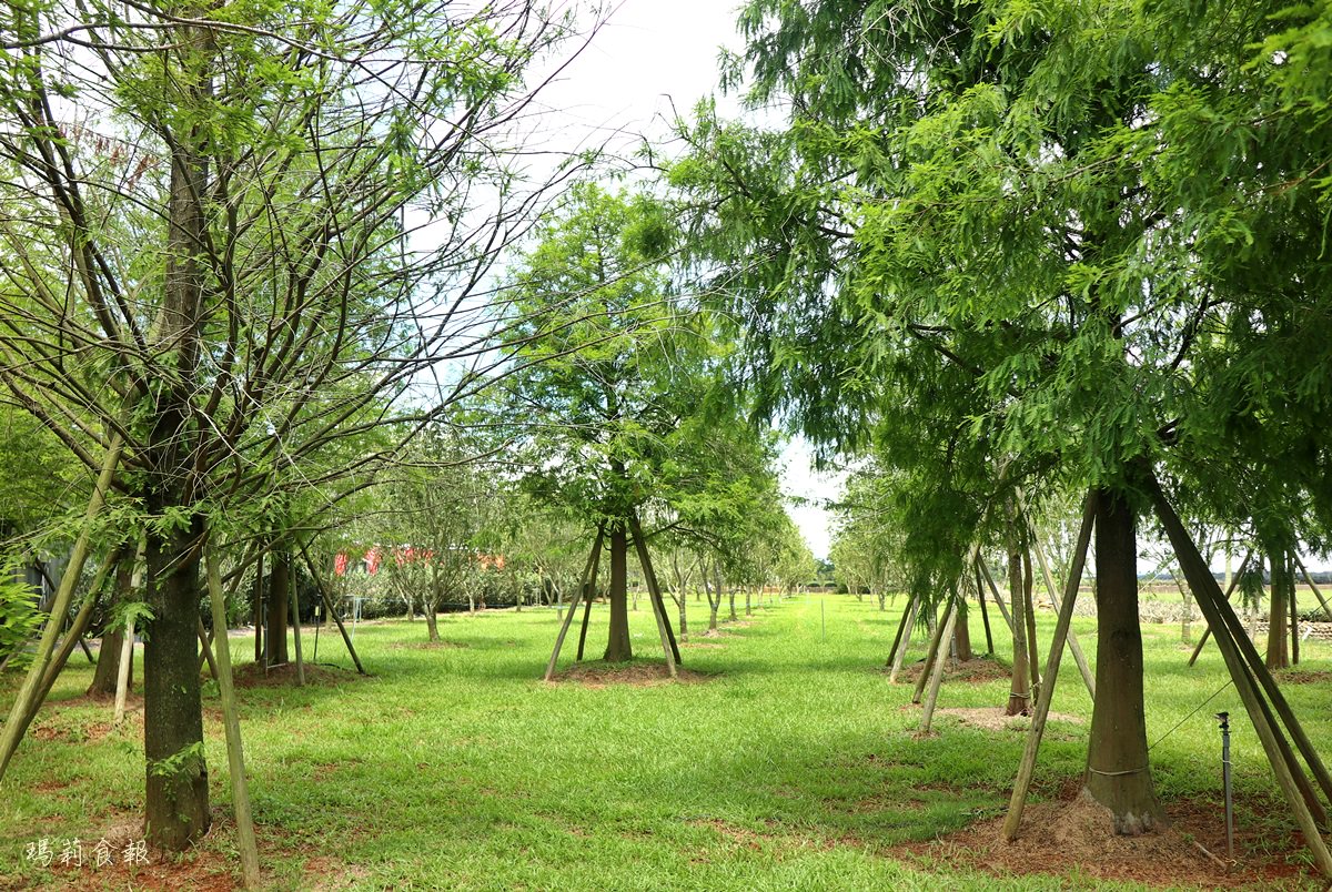 南投名間景點,茶二指故事館,茶葉博物館,買茶葉送水管屋住宿,享受慢活的南投小旅行,親子景點