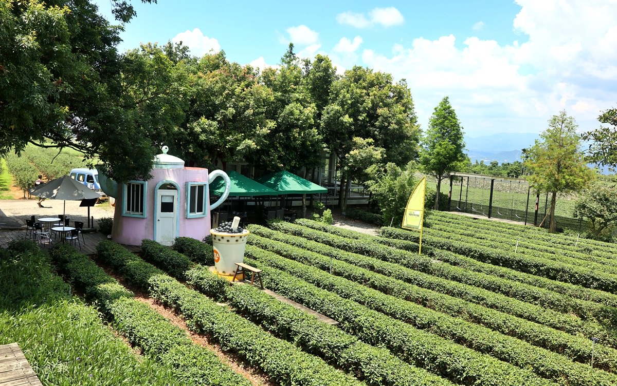 南投名間景點,茶二指故事館,茶葉博物館,巨無霸珍奶水管屋,好玩好拍,享受慢活的南投小旅行,認識茶類文化好選擇