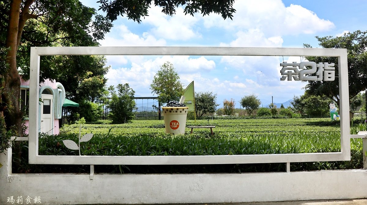 南投名間景點｜茶二指故事館 綠油油茶園 巨無霸珍奶 水管屋好玩好拍又能享受慢活