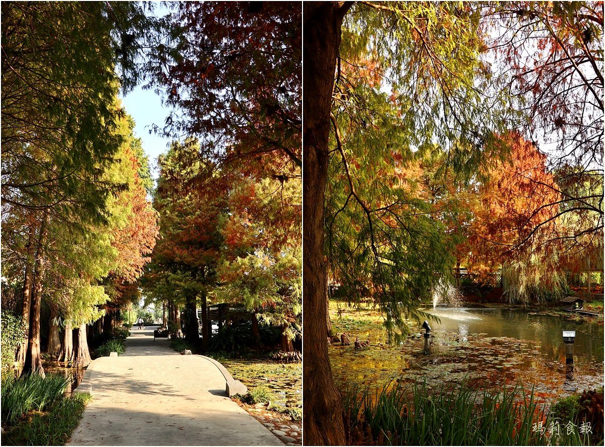 彰化輕旅行,田尾公路花園,田尾一日遊,彰化田尾,田尾花卉園藝,田尾花草美食,田尾電動單車輕鬆行,田尾公路花園一日遊,田尾親子遊推薦