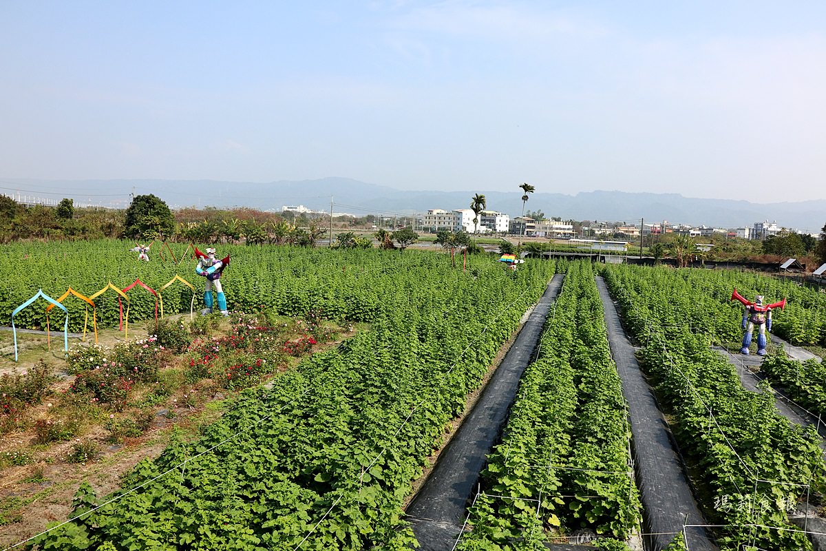 田中窯創藝園區,蜀葵花海藝術節,花海迷宮,陶藝DIY,彰化輕旅行,田中窯烤麵包必吃