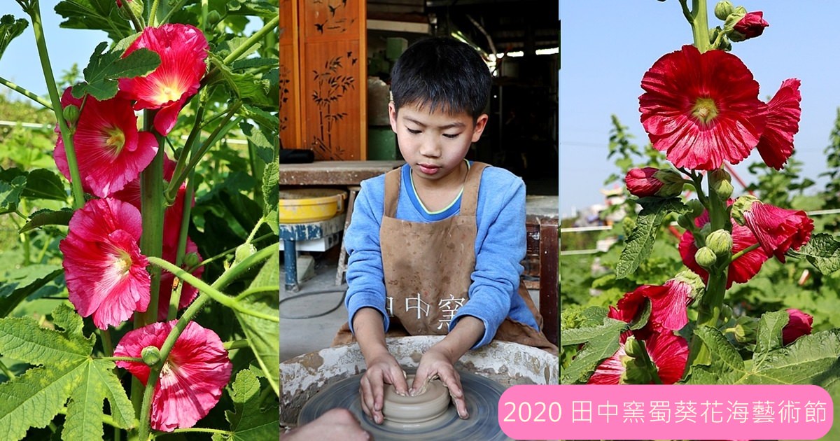 田中窯創藝園區 蜀葵花海藝術節 賞花走花海迷宮 陶藝DIY 彰化輕旅行 桶仔雞 窯烤麵包必吃