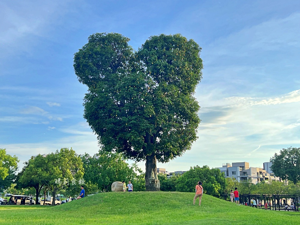 南興公園｜台中特色公園 米奇樹、落羽松大道 IG打卡熱點，有兒童遊戲區、溜冰場，小孩放電好地方