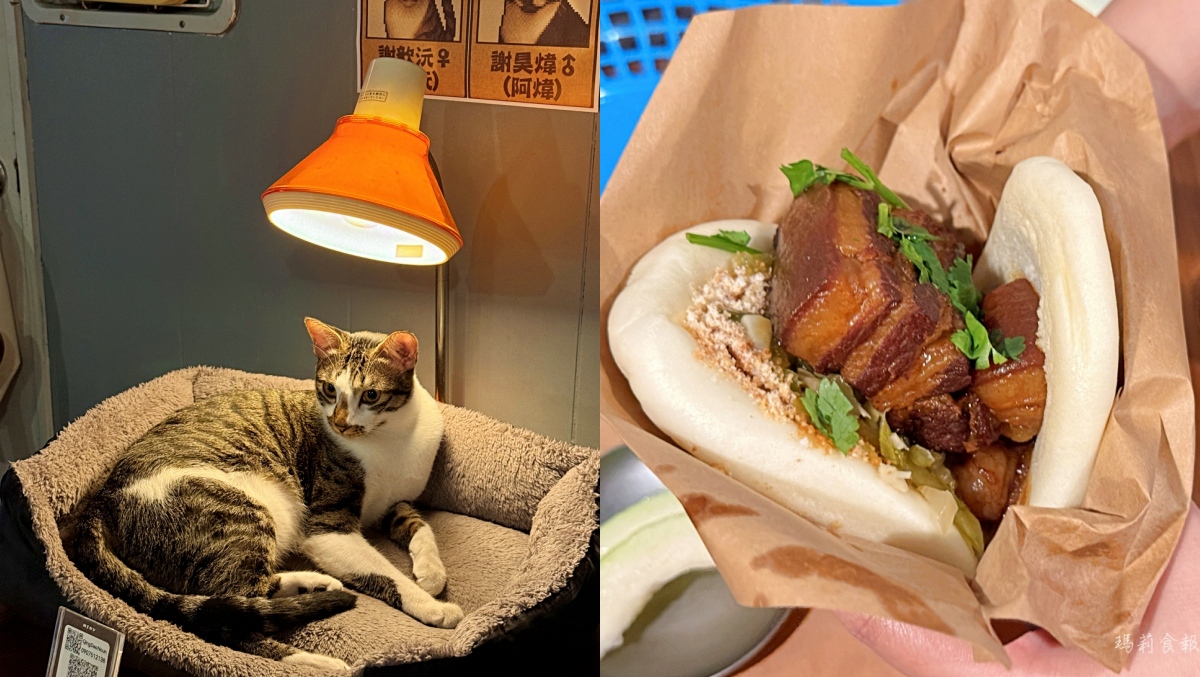 台中北區青島物語｜貓咪陪吃古早味刈包咖啡館，刈包好吃 甜點咖啡也不能錯過