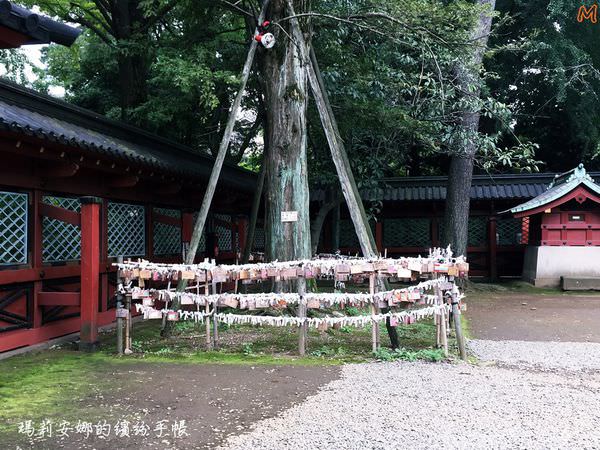 東京根津神社 (38).JPG