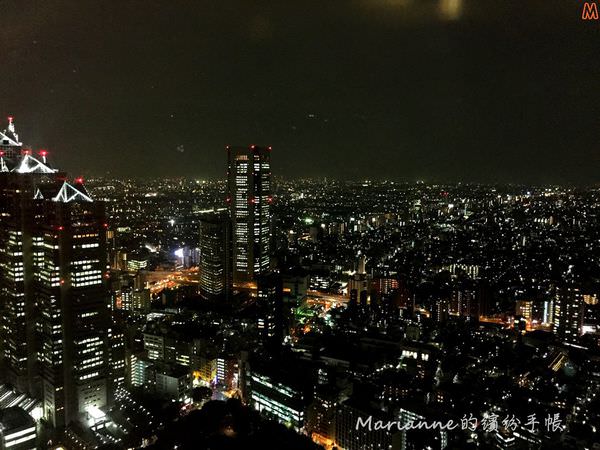 東京都廳夜景 (9).JPG