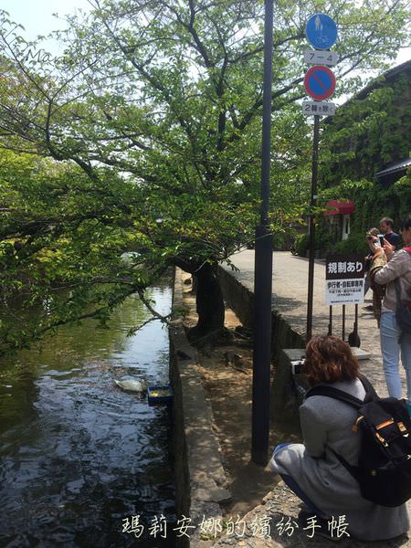 岡山倉敷-倉敷川 (22).JPG