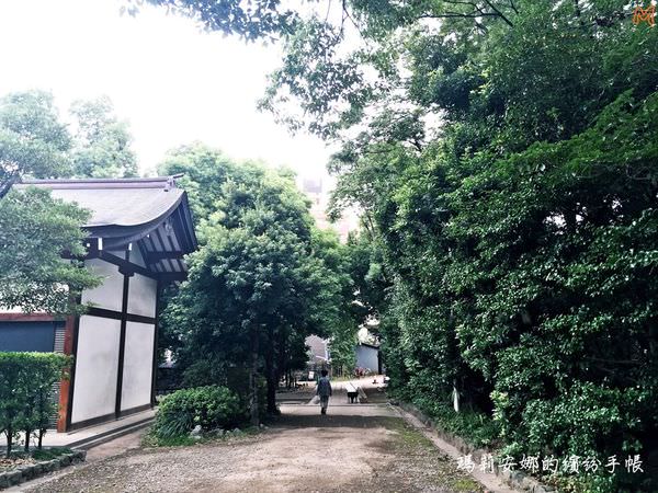 東京根津神社 (9).JPG