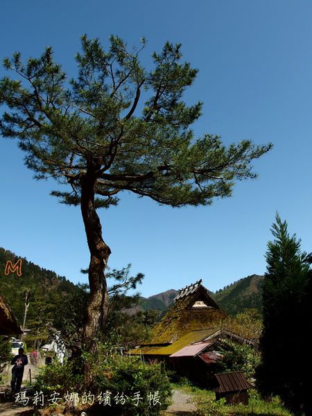 美山町合掌聚落（美山かやぶきの里）