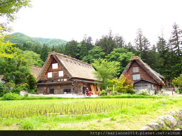 合掌村(25)