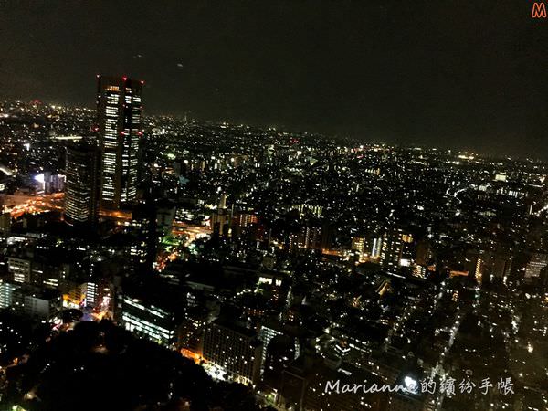 東京都廳夜景 (10).JPG