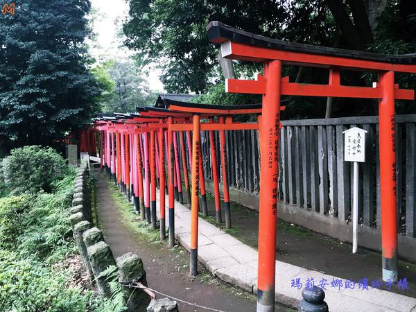 東京根津神社 (27).JPG