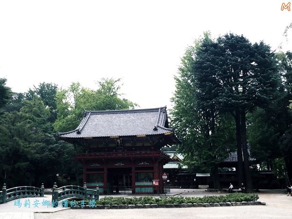 東京根津神社 (2).JPG