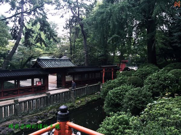 東京根津神社 (26).JPG