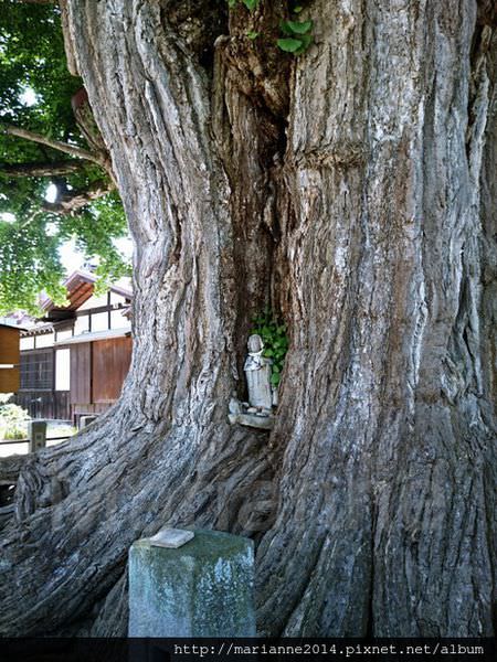 高山飛驒國分寺 (9).JPG