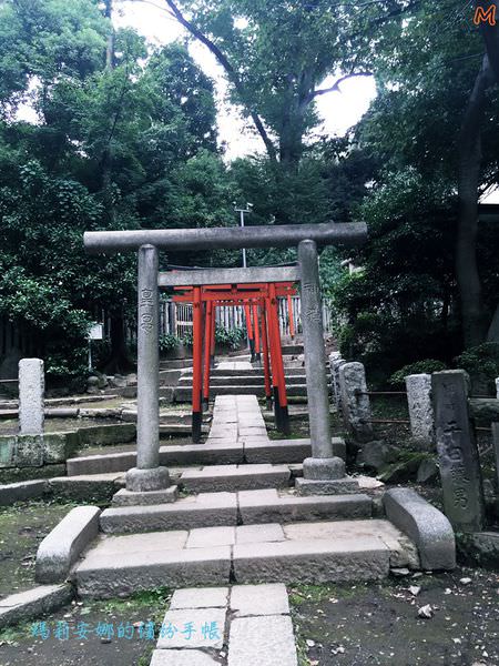 東京根津神社 (13).JPG