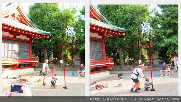 淺草寺、雷門 (15).jpg