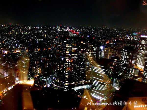 東京都廳夜景 (1).JPG