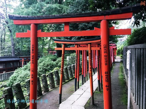 東京根津神社 (24).JPG