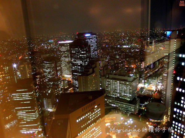 東京都廳夜景 (16).JPG