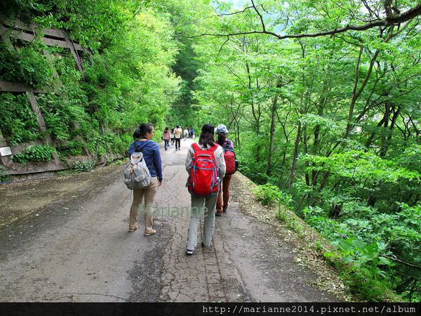 合掌村(51)