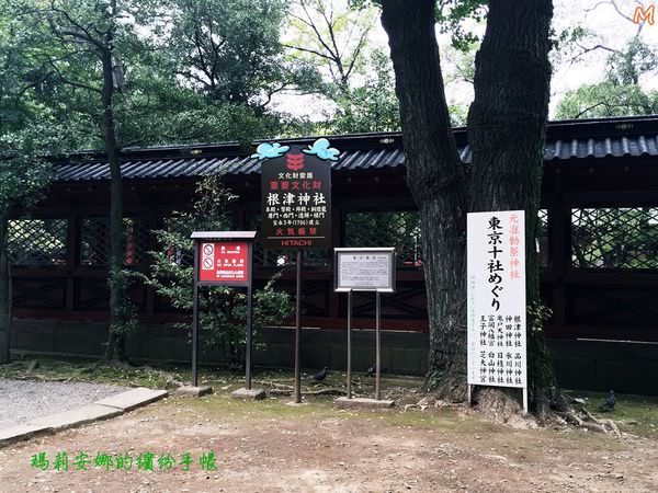 東京根津神社 (43).JPG