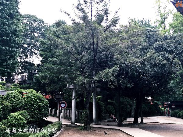 東京根津神社 (48).JPG