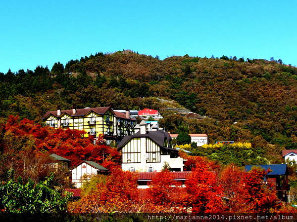 清境-見晴花園山莊-百夷風味餐 (2).JPG