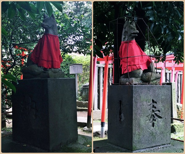 東京根津神社 (49)