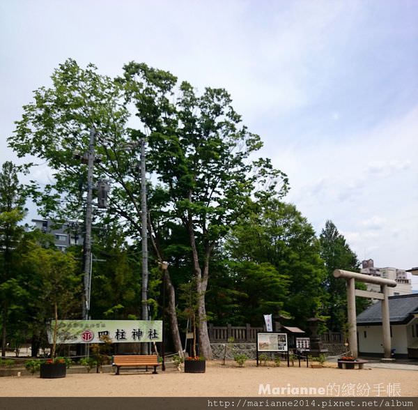 日本北陸自助｜長野松本-四柱神社與縄手通(青蛙街)