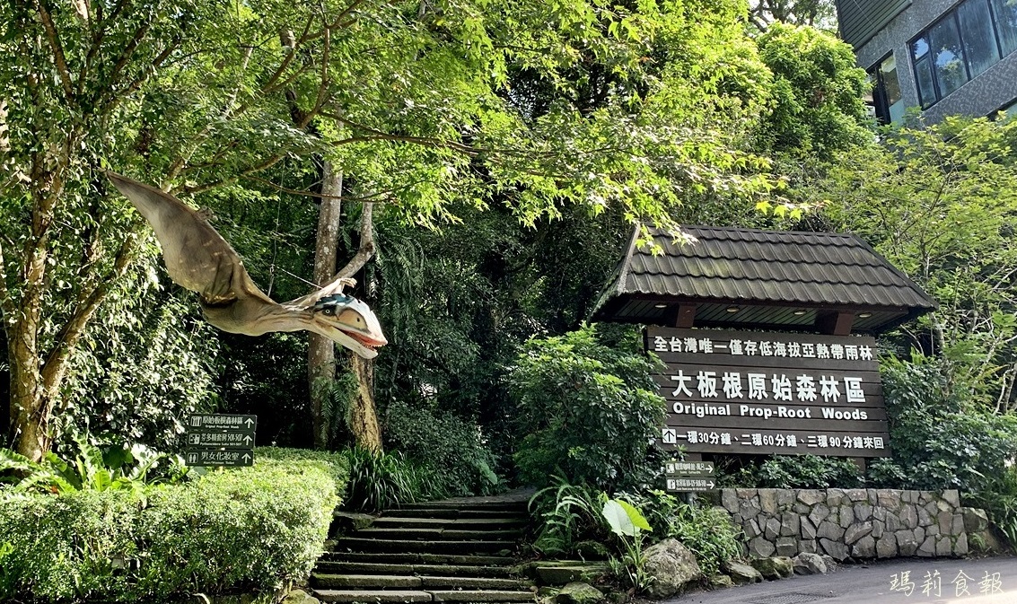 大板根恐龍探索森林,大板根恐龍,大板根森林溫泉酒店,新北親子小旅行,大板根,新北一日遊